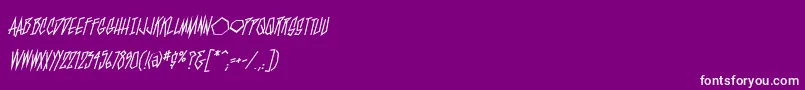BlamblamReg Font – White Fonts on Purple Background