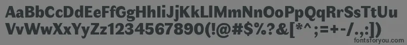 フォントFauneDisplayBlack – 黒い文字の灰色の背景