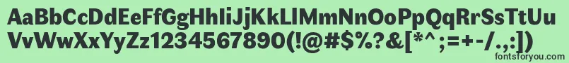 FauneDisplayBlack Font – Black Fonts on Green Background