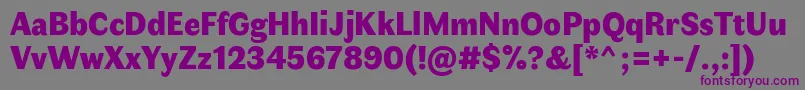 FauneDisplayBlack Font – Purple Fonts on Gray Background