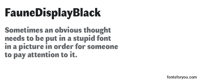 Review of the FauneDisplayBlack Font