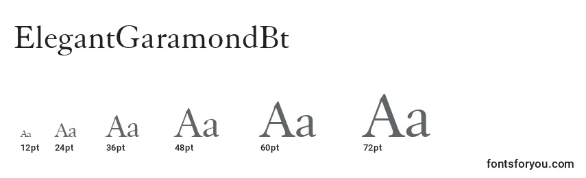 Размеры шрифта ElegantGaramondBt