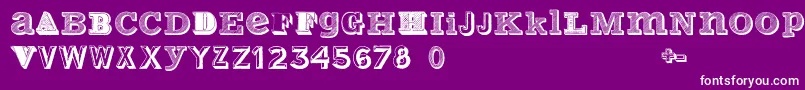 VariusMultiplexPersonalEdition Font – White Fonts on Purple Background