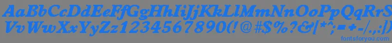 フォントWorchesterExtraboldita – 灰色の背景に青い文字