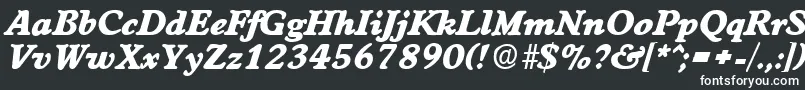 WorchesterExtraboldita Font – White Fonts