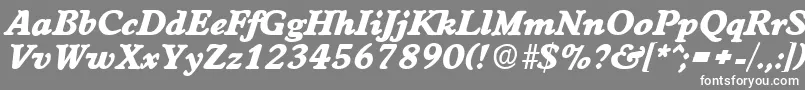 フォントWorchesterExtraboldita – 灰色の背景に白い文字