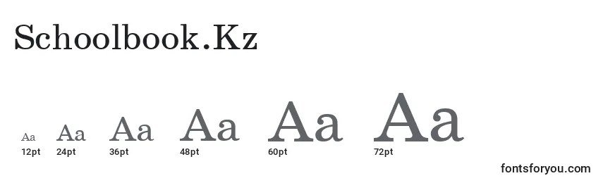 Schoolbook.Kz Font Sizes