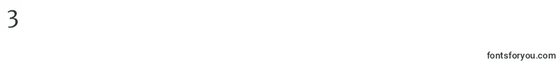 MerriweatherRegular Font – Fonts for Digit 3