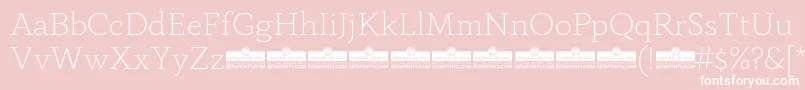 AnaphoraExtralightTrial Font – White Fonts on Pink Background