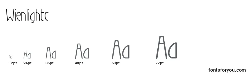 Wienlightc Font Sizes