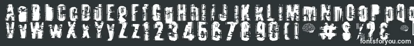 Toota ffy Font – White Fonts on Black Background
