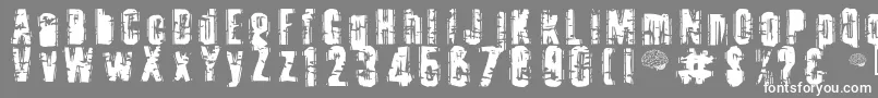フォントToota ffy – 灰色の背景に白い文字
