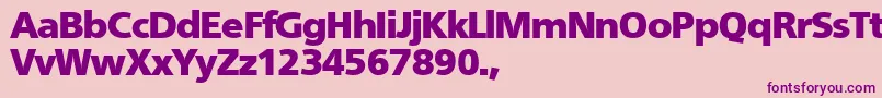 TqfFruitfulblack Font – Purple Fonts on Pink Background
