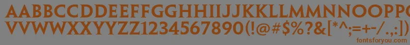 フォントPenumbraserifstdSemibold – 茶色の文字が灰色の背景にあります。