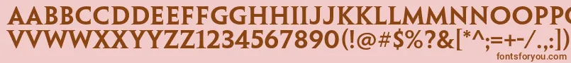 PenumbraserifstdSemibold Font – Brown Fonts on Pink Background