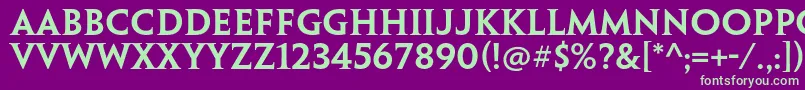 PenumbraserifstdSemibold Font – Green Fonts on Purple Background