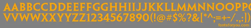 フォントPenumbraserifstdSemibold – オレンジの文字は灰色の背景にあります。