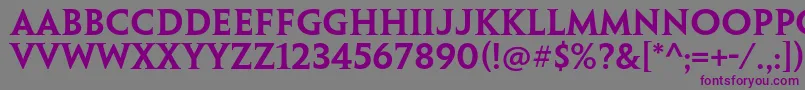 PenumbraserifstdSemibold Font – Purple Fonts on Gray Background