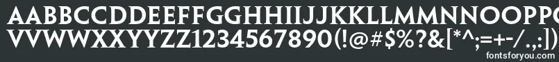 PenumbraserifstdSemibold-fontti – valkoiset fontit mustalla taustalla