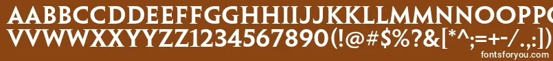 フォントPenumbraserifstdSemibold – 茶色の背景に白い文字