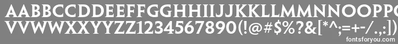 PenumbraserifstdSemibold Font – White Fonts on Gray Background