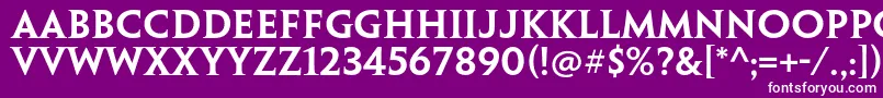 フォントPenumbraserifstdSemibold – 紫の背景に白い文字