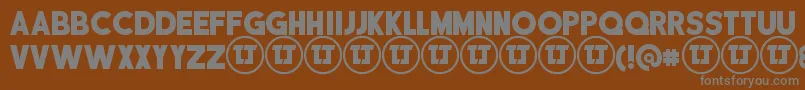 DisciplinaPersonalUse Font – Gray Fonts on Brown Background