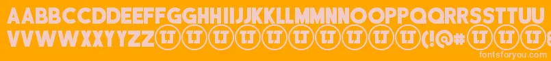 DisciplinaPersonalUse Font – Pink Fonts on Orange Background