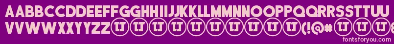 DisciplinaPersonalUse Font – Pink Fonts on Purple Background