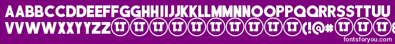 DisciplinaPersonalUse Font – White Fonts on Purple Background