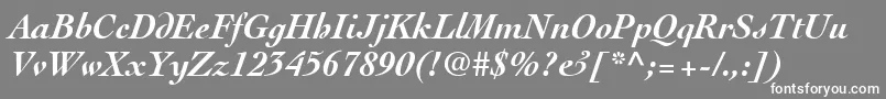 ThesisSsiBoldItalic Font – White Fonts on Gray Background