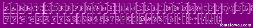ATrianglercmotldn Font – White Fonts on Purple Background