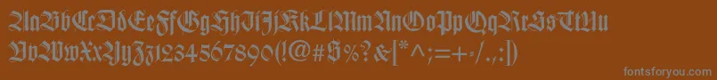Hapsburg-fontti – harmaat kirjasimet ruskealla taustalla