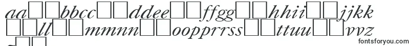 UkCaslonItalic Font – Latvian Fonts