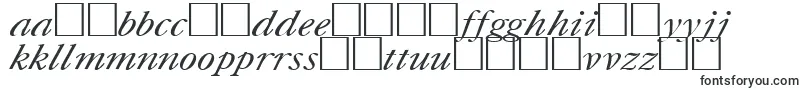 UkCaslonItalic Font – Lithuanian Fonts