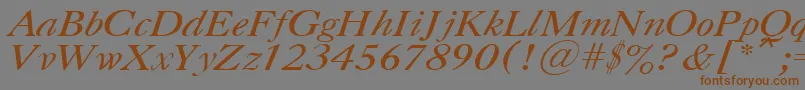 UkCaslonItalic Font – Brown Fonts on Gray Background
