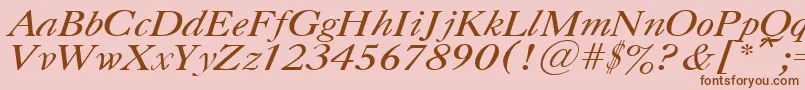 UkCaslonItalic Font – Brown Fonts on Pink Background