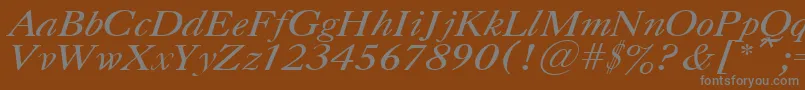 フォントUkCaslonItalic – 茶色の背景に灰色の文字