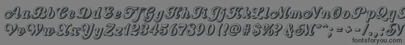 More about CountryWesternScriptOpen Font CountryWesternScriptOpen Font – Black Fonts on Gray Background