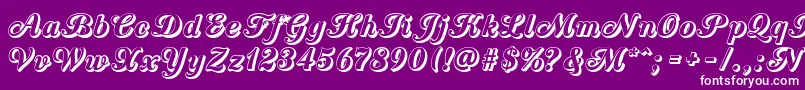 CountryWesternScriptOpen Font – White Fonts on Purple Background