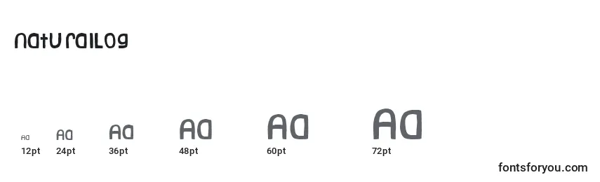 NaturalLog Font Sizes