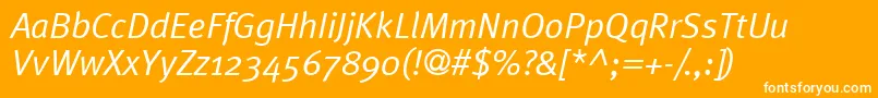 MetaplusnormalItalic Font – White Fonts on Orange Background