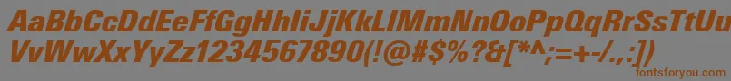 フォントUniversNextProExtrablackCondensedItalic – 茶色の文字が灰色の背景にあります。