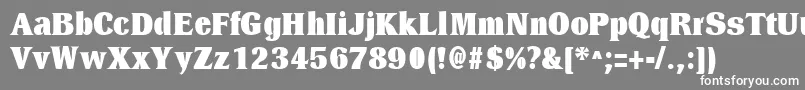 DresselBlackRegular Font – White Fonts on Gray Background