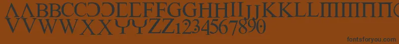 Empiric-Schriftart – Schwarze Schriften auf braunem Hintergrund