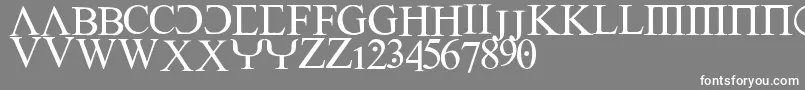 Empiric Font – White Fonts on Gray Background
