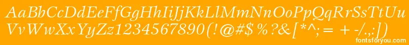 EspritstdBookitalic Font – White Fonts on Orange Background