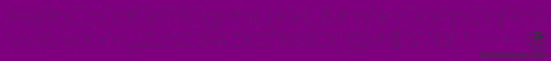 WidolteThinDemo Font – Black Fonts on Purple Background