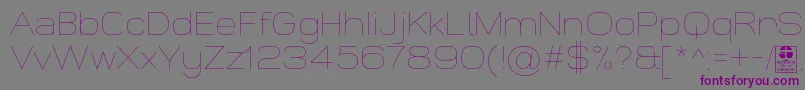 WidolteThinDemo Font – Purple Fonts on Gray Background