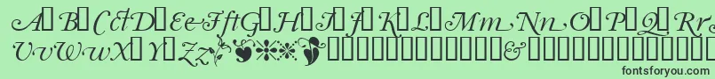 Garrymondrianswashsh Font – Black Fonts on Green Background